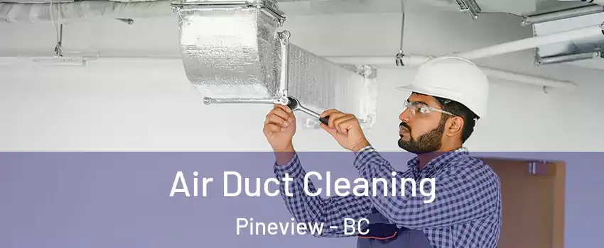  Air Duct Cleaning Pineview - BC