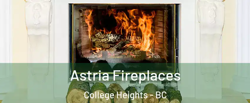  Astria Fireplaces College Heights - BC