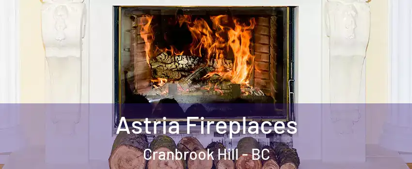  Astria Fireplaces Cranbrook Hill - BC