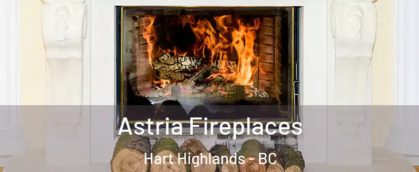  Astria Fireplaces Hart Highlands - BC