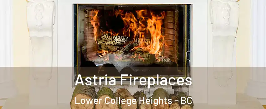  Astria Fireplaces Lower College Heights - BC