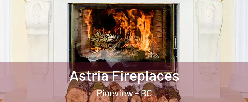  Astria Fireplaces Pineview - BC