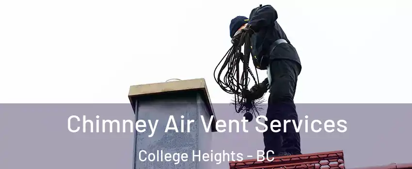  Chimney Air Vent Services College Heights - BC