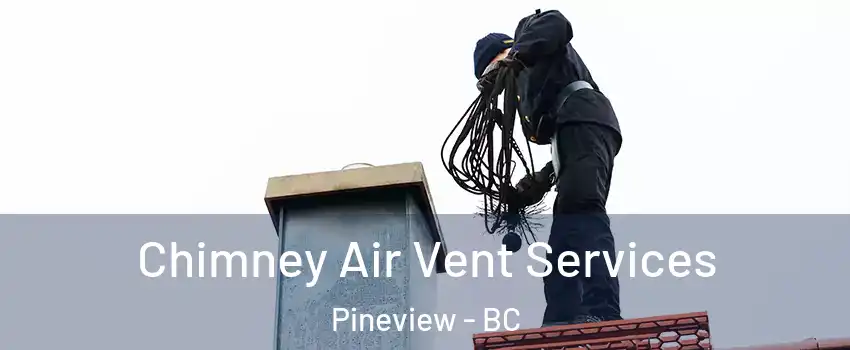  Chimney Air Vent Services Pineview - BC