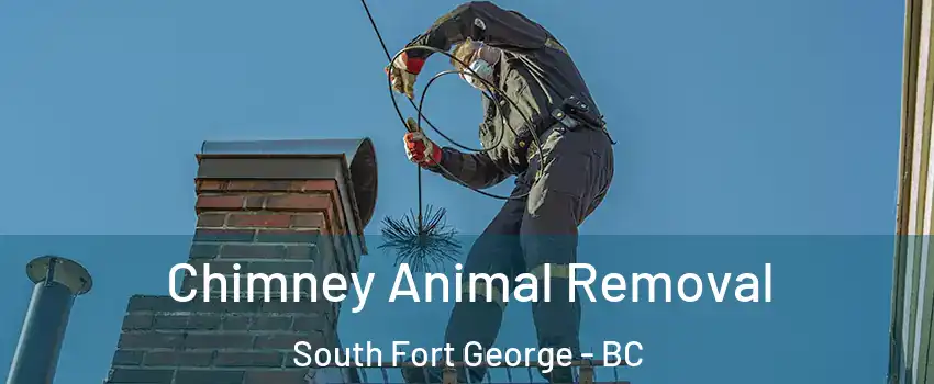  Chimney Animal Removal South Fort George - BC