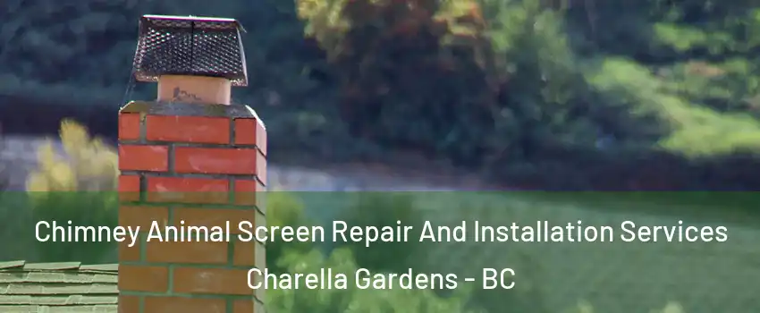  Chimney Animal Screen Repair And Installation Services Charella Gardens - BC