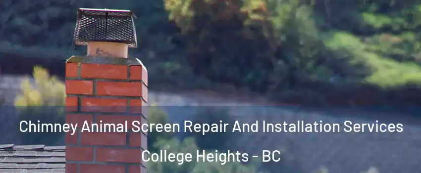  Chimney Animal Screen Repair And Installation Services College Heights - BC