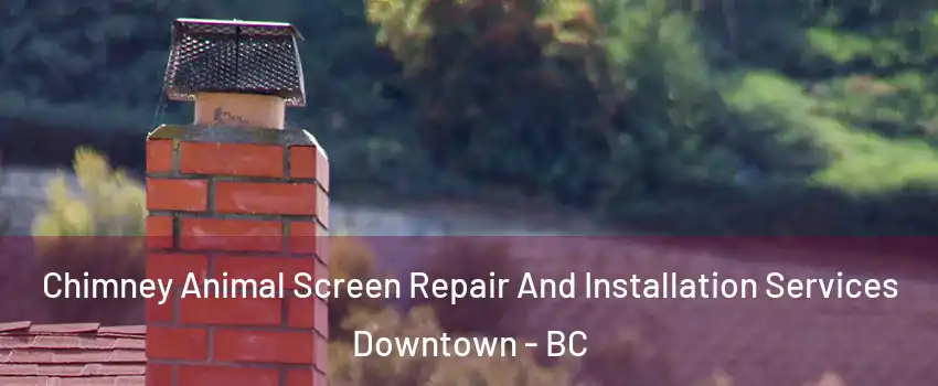  Chimney Animal Screen Repair And Installation Services Downtown - BC