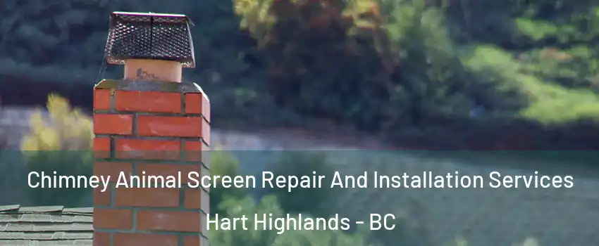  Chimney Animal Screen Repair And Installation Services Hart Highlands - BC