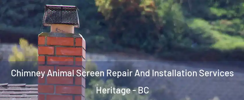  Chimney Animal Screen Repair And Installation Services Heritage - BC