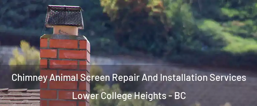  Chimney Animal Screen Repair And Installation Services Lower College Heights - BC