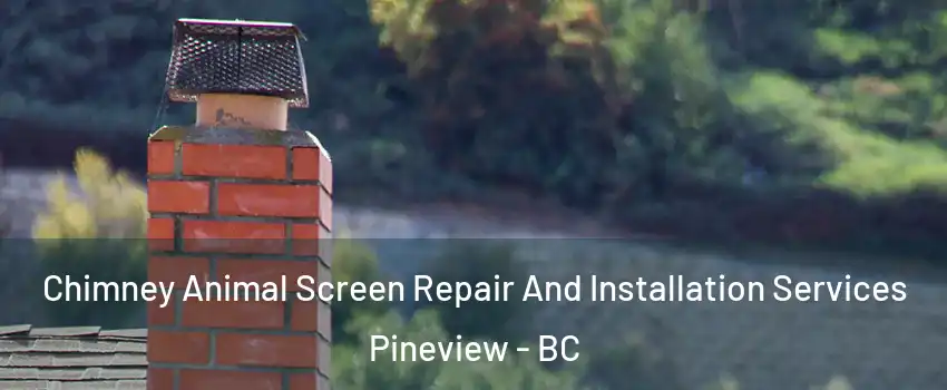  Chimney Animal Screen Repair And Installation Services Pineview - BC