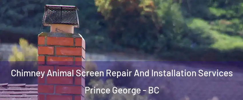  Chimney Animal Screen Repair And Installation Services Prince George - BC