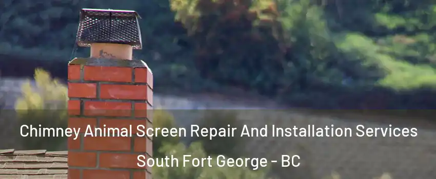  Chimney Animal Screen Repair And Installation Services South Fort George - BC