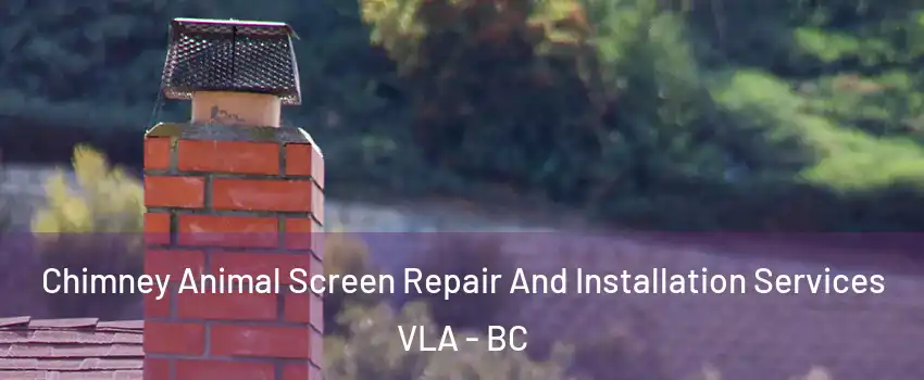  Chimney Animal Screen Repair And Installation Services VLA - BC