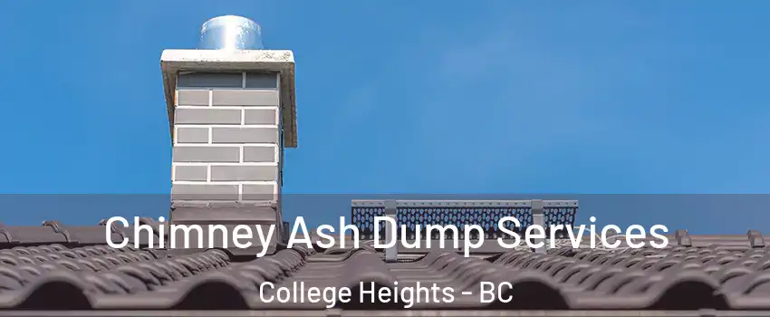  Chimney Ash Dump Services College Heights - BC