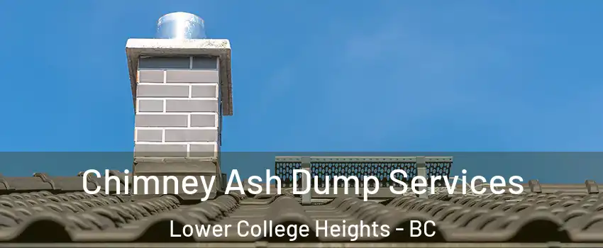  Chimney Ash Dump Services Lower College Heights - BC