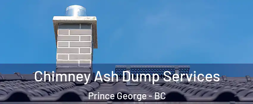  Chimney Ash Dump Services Prince George - BC