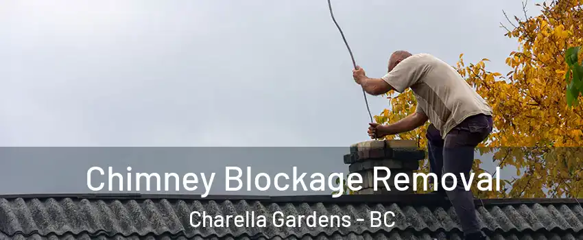  Chimney Blockage Removal Charella Gardens - BC