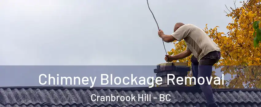  Chimney Blockage Removal Cranbrook Hill - BC