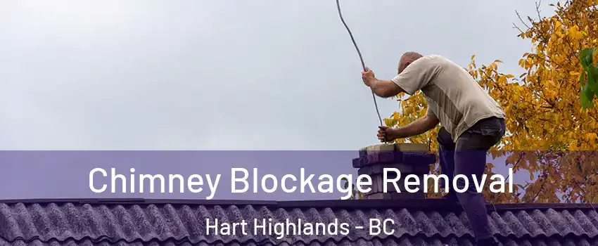  Chimney Blockage Removal Hart Highlands - BC