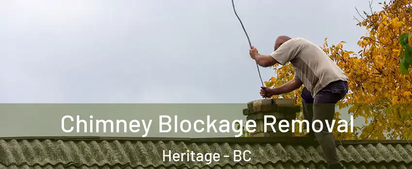  Chimney Blockage Removal Heritage - BC