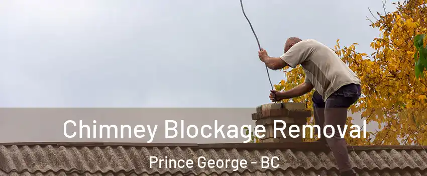  Chimney Blockage Removal Prince George - BC