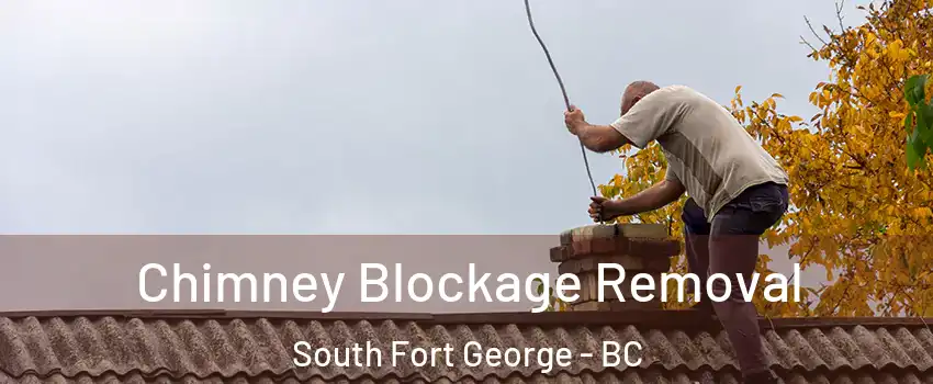  Chimney Blockage Removal South Fort George - BC