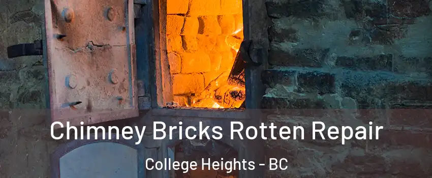  Chimney Bricks Rotten Repair College Heights - BC