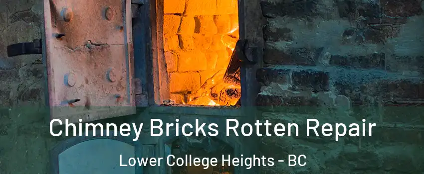  Chimney Bricks Rotten Repair Lower College Heights - BC