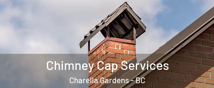  Chimney Cap Services Charella Gardens - BC