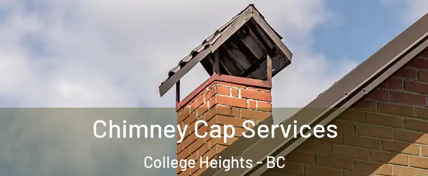  Chimney Cap Services College Heights - BC