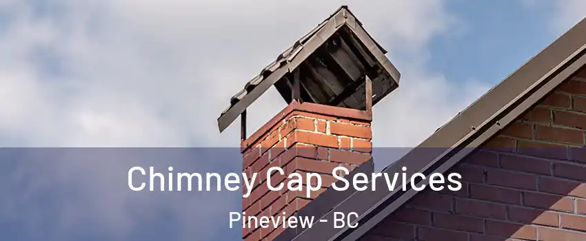  Chimney Cap Services Pineview - BC