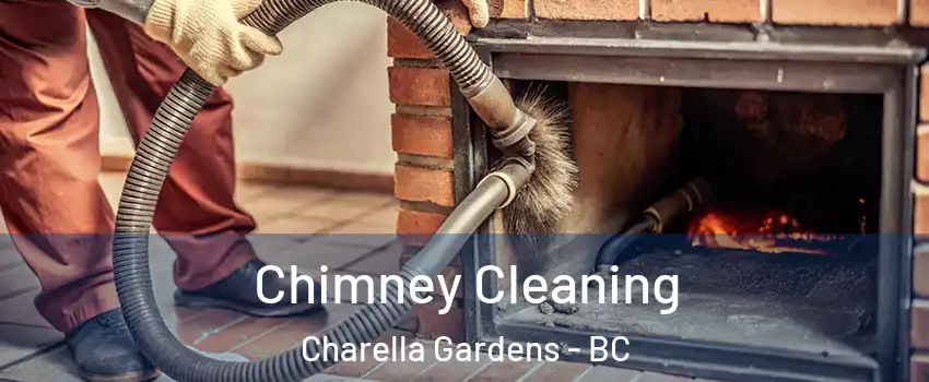  Chimney Cleaning Charella Gardens - BC