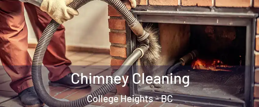  Chimney Cleaning College Heights - BC