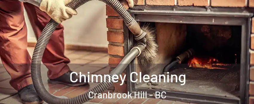  Chimney Cleaning Cranbrook Hill - BC