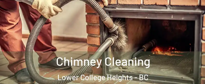  Chimney Cleaning Lower College Heights - BC