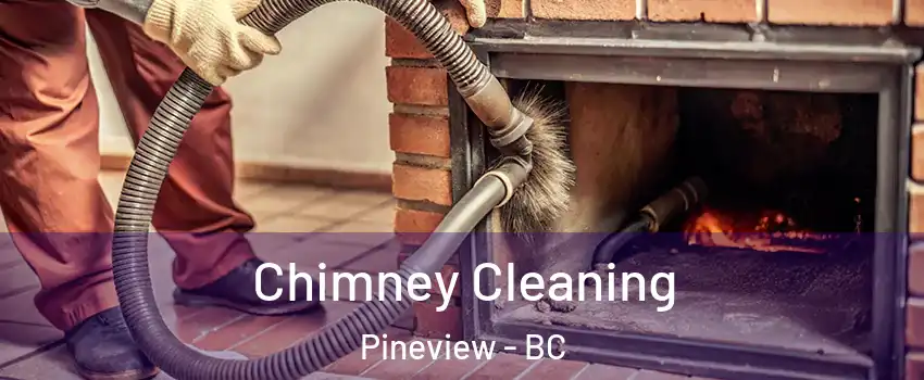  Chimney Cleaning Pineview - BC