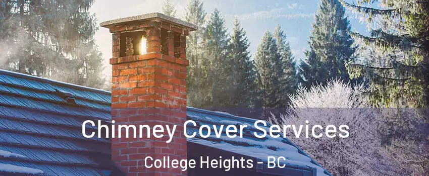  Chimney Cover Services College Heights - BC