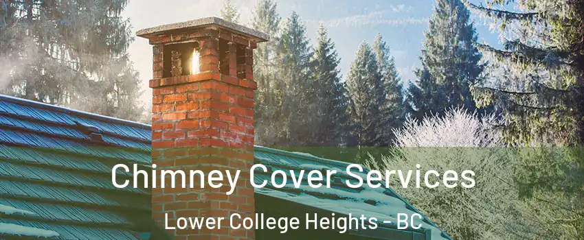  Chimney Cover Services Lower College Heights - BC