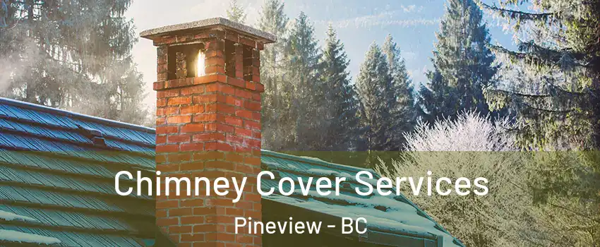  Chimney Cover Services Pineview - BC