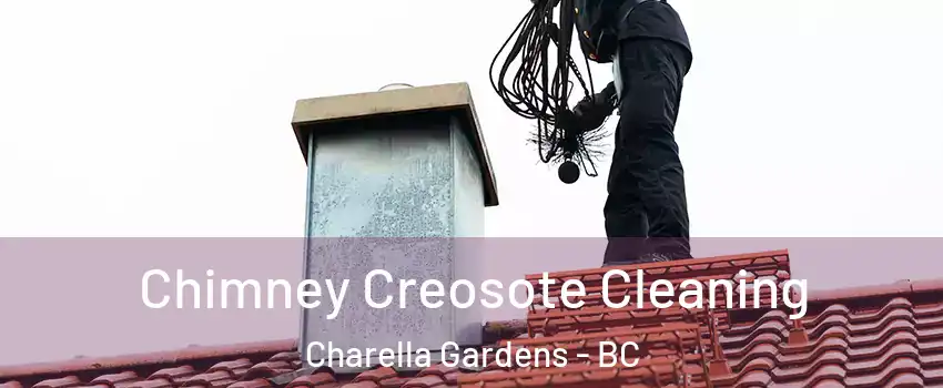  Chimney Creosote Cleaning Charella Gardens - BC