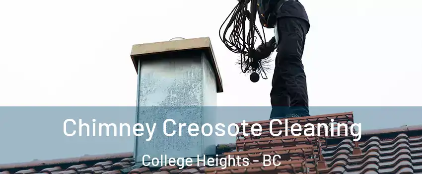  Chimney Creosote Cleaning College Heights - BC