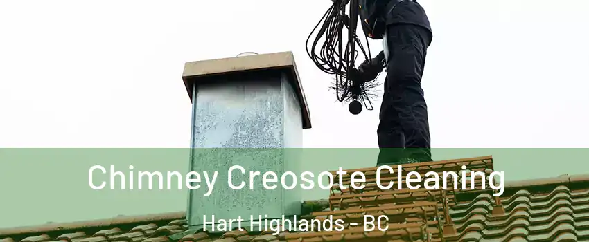  Chimney Creosote Cleaning Hart Highlands - BC