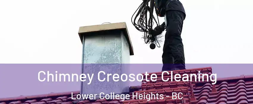  Chimney Creosote Cleaning Lower College Heights - BC