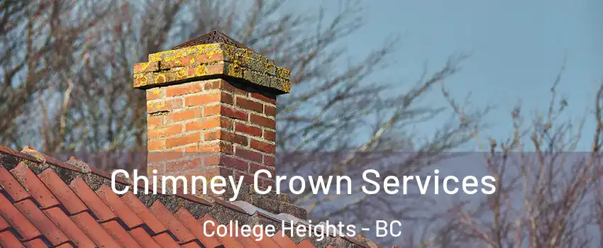  Chimney Crown Services College Heights - BC