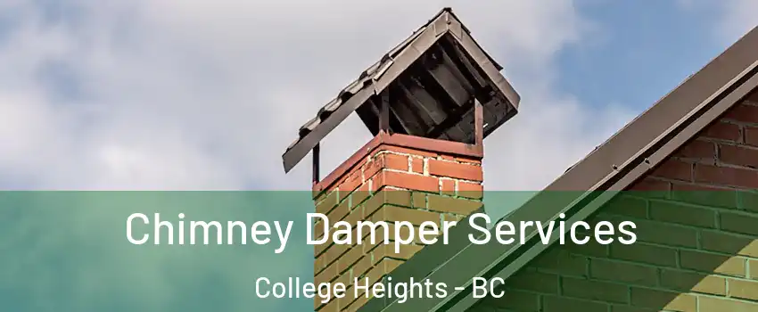  Chimney Damper Services College Heights - BC