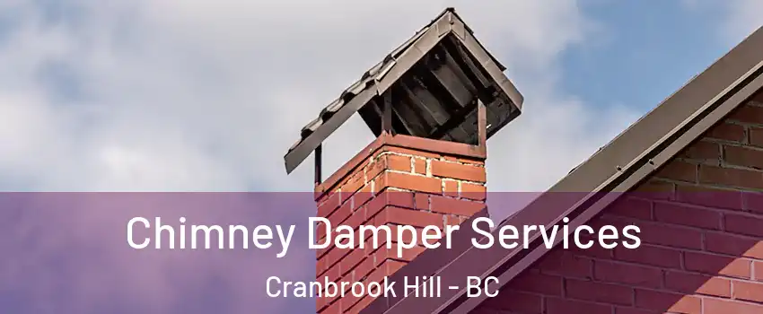  Chimney Damper Services Cranbrook Hill - BC