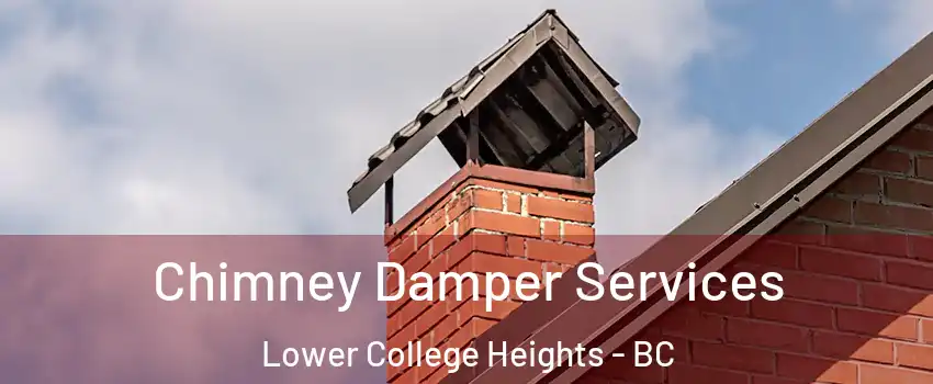  Chimney Damper Services Lower College Heights - BC