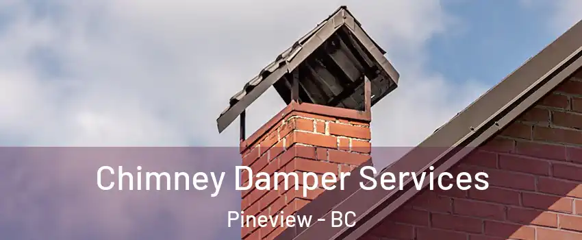  Chimney Damper Services Pineview - BC